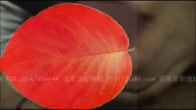 [广州]KTV厕所的激情 
