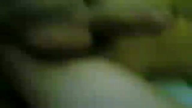 被幹了