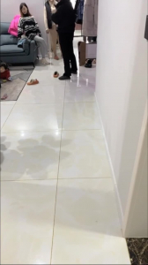 露臉丈母娘和嫂子