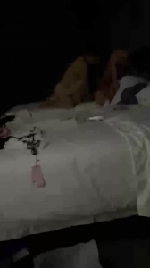 綠奴妻4p挨操