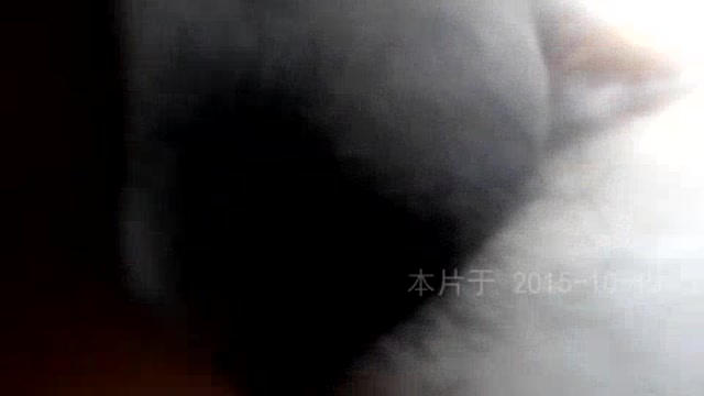 3P泰安良家少妇内射篇 