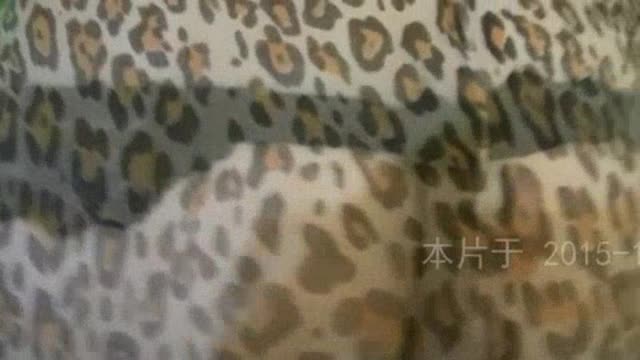 淫语对白豹纹诱惑② 无套爆插正在做瑜伽的淫荡继母【微信SQ20777spam出售30T高清做爱视频】 