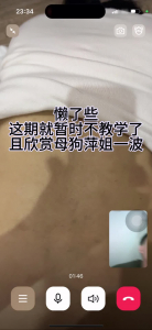 母狗人妻萍姐