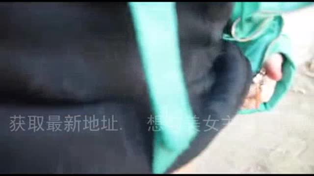 农村少妇打野战（2000G云盘资源免费送） 