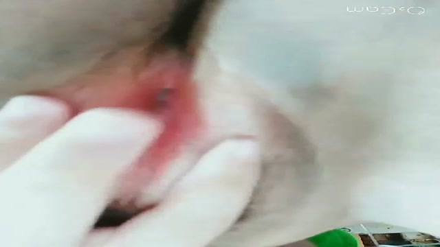 癢癢