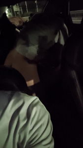 我開車 對象和單男在後座上啪啪啪。太刺激了。