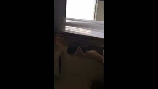 传说中长的神似"baby"美女7秒裸舞（请叫我雷锋） 