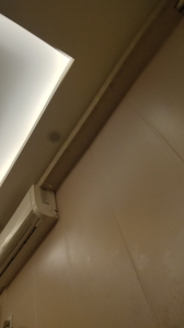 絕頂身材美女推油打飛機