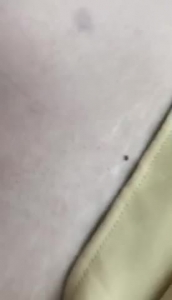 背着老公找大學生