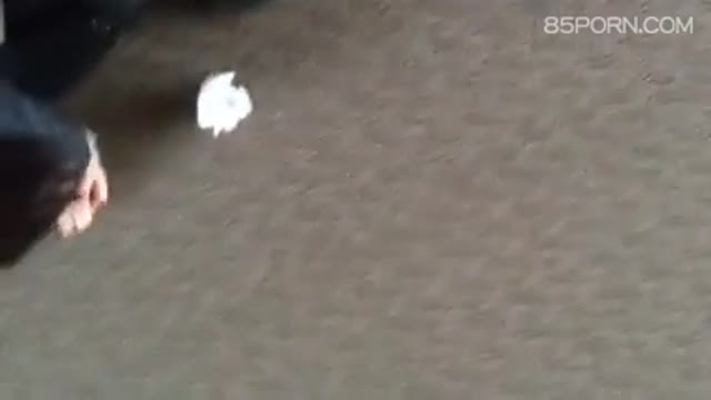 新來的女同事 