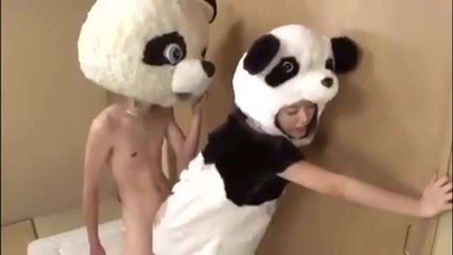 貓熊交配 