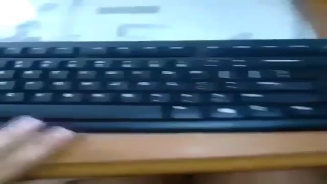 牽絲水鮑 