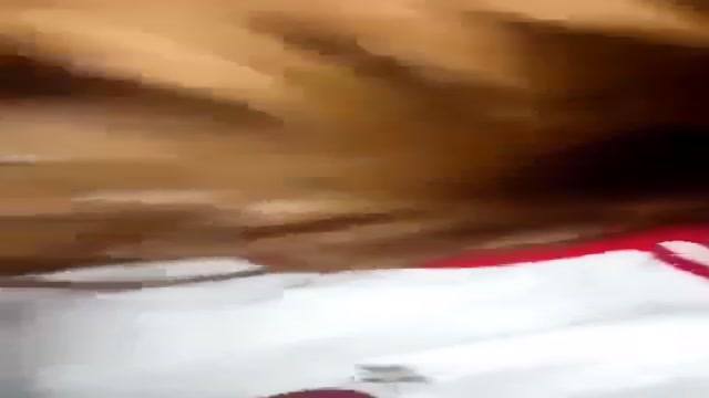 我馬子很舒服