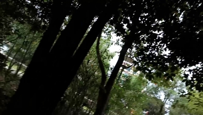 美少婦背着老公跟我又在公園裏偷情，被射了一嘴，口吐濃精