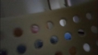 【海南】聽叫聲就是一種享受