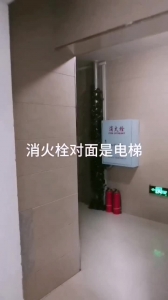 母狗苒苒調解實錄（三）定制露出任務