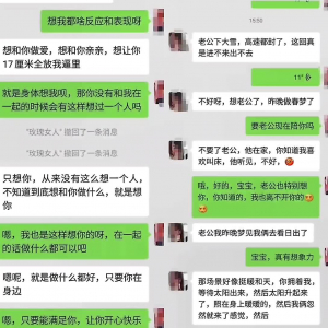 東北騷婦主動約操，淫語不斷高潮不停說從來沒被操的這麽爽過完整版看借